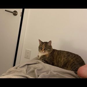 Meet your Posher, Danny